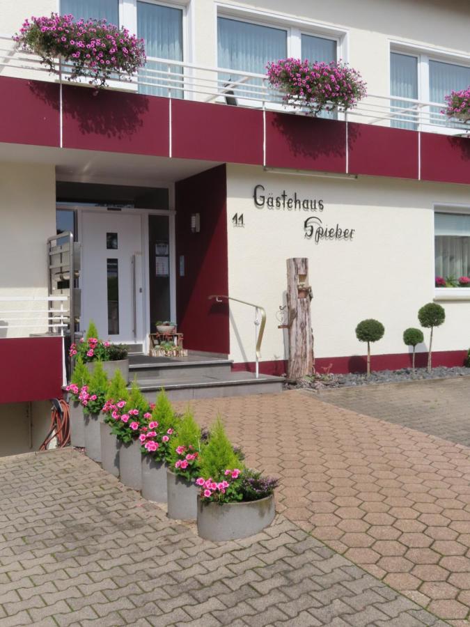 Gästehaus Spieker Horn-Bad Meinberg Exterior foto